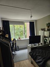 Kamer te huur 375 euro Prof. Evertslaan, Delft