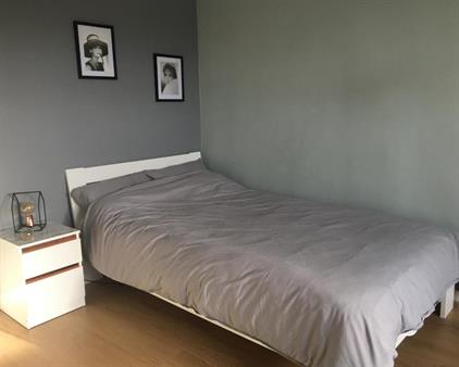 Room for rent 500 euro Zweedsestraat, Rotterdam