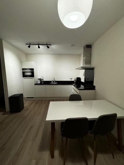 Apartment for rent 1580 euro Hammarbystraat, Amsterdam