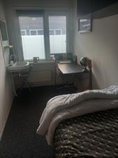Kamer te huur 360 euro Korenbloemstraat, Eindhoven