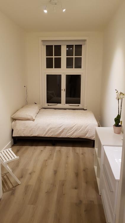 Room for rent 508 euro Oude Delft, Delft