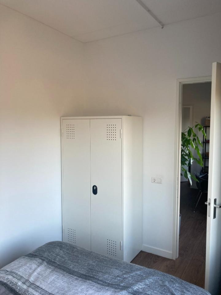 Roer