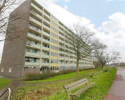 Appartement te huur 1138 euro Avondsterlaan, Groningen