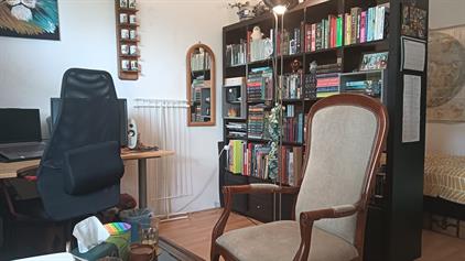 Room for rent 500 euro Professor Cobbenhagenlaan, Tilburg