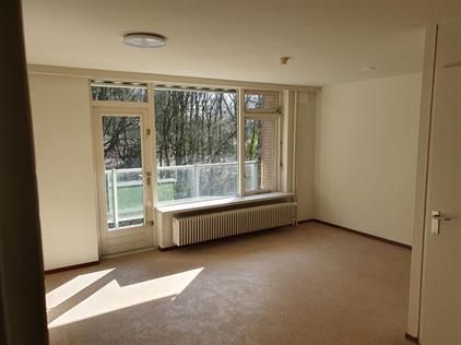 Apartment for rent 600 euro Bronbeeklaan, Arnhem