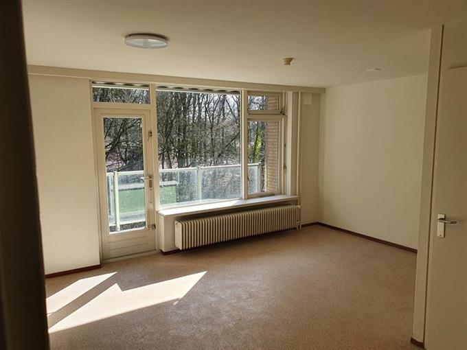 Kamer in Arnhem, Bronbeeklaan op Kamernet.nl: Te huur voor studerende huurders (ook PhD)
