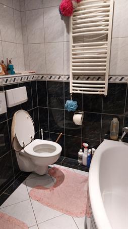 Zimmer bei van Beethovenlaan In Eindhoven