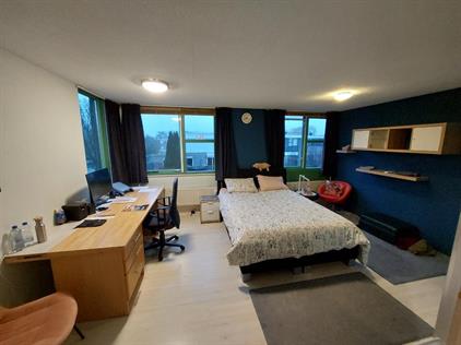 Room for rent 575 euro Lesothostraat, Delft