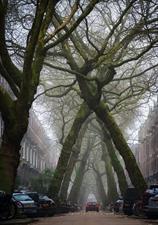 Kamer te huur 1500 euro Lomanstraat, Amsterdam