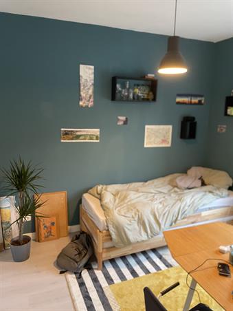 Kamer in Nijmegen, Daalseweg op Kamernet.nl: leuke kamer
