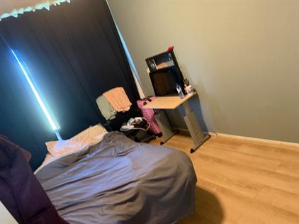 Room for rent 800 euro Hogevecht, Amsterdam