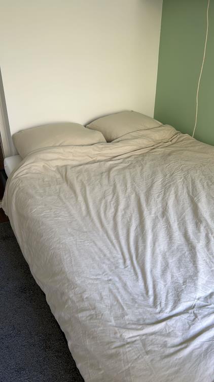 Room for rent 450 euro Pisanostraat, Eindhoven