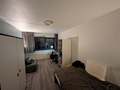 Room for rent 1000 euro Zusterlaan, Delft