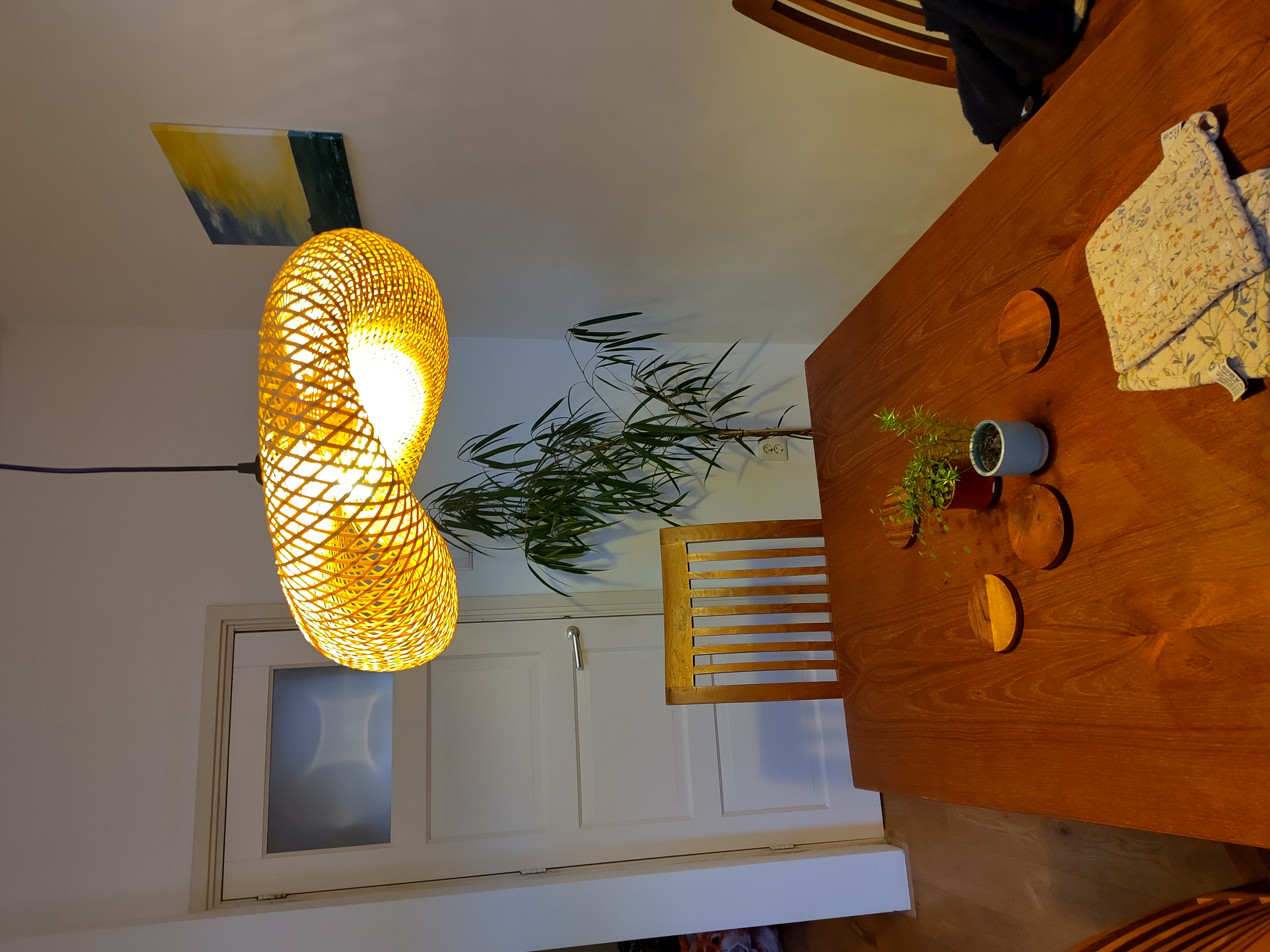 Kamer aan Cartesiusstraat, Den Haag 7