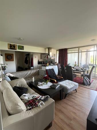 Zimmer bei Gouden Leeuw In Amsterdam