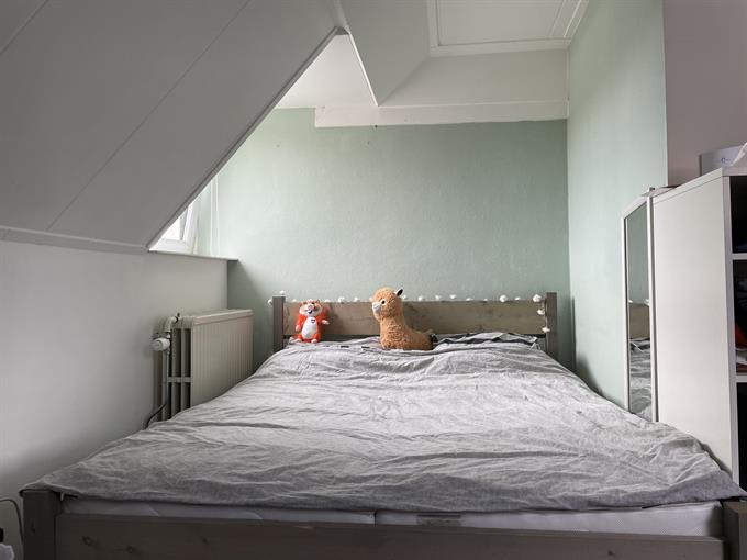 Zimmer bei Rosendaalsestraat In Arnhem