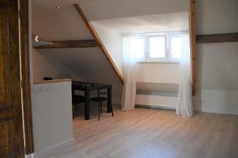 Apartment for rent 850 euro Dolmansstraat, Maastricht