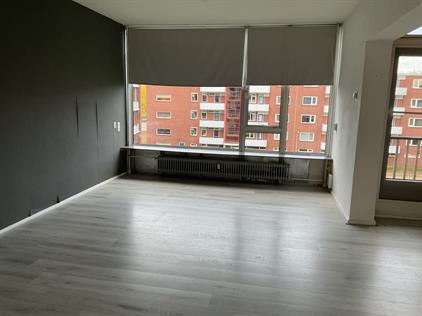 Apartment for rent 400 euro Rustenbergherstraat, Hardenberg
