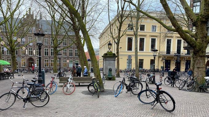 Kamer in Utrecht, Zakkendragerssteeg op Kamernet.nl: nette ruime kamer in centrum