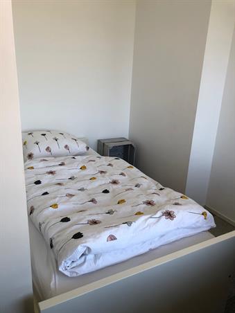 Kamer in Leiden, Brahmslaan op Kamernet.nl: student room for female master student 