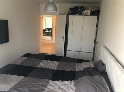 Kamer te huur 950 euro Pharus, Zaandam