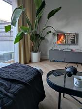 Kamer te huur 900 euro Scheepsbouwweg, Amsterdam