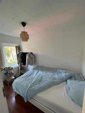 Zimmer bei Bergen op Zoomstraat In Eindhoven