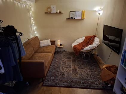 Room for rent 675 euro Nicolaas Pienemanstraat, Amersfoort