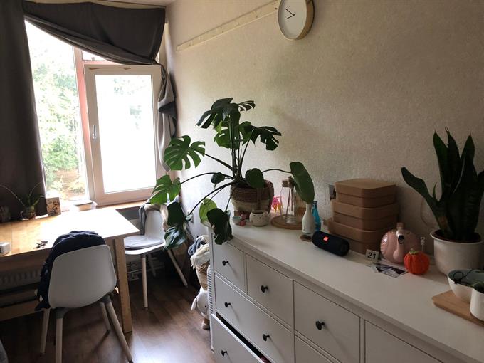 Zimmer bei Calslaan In Enschede