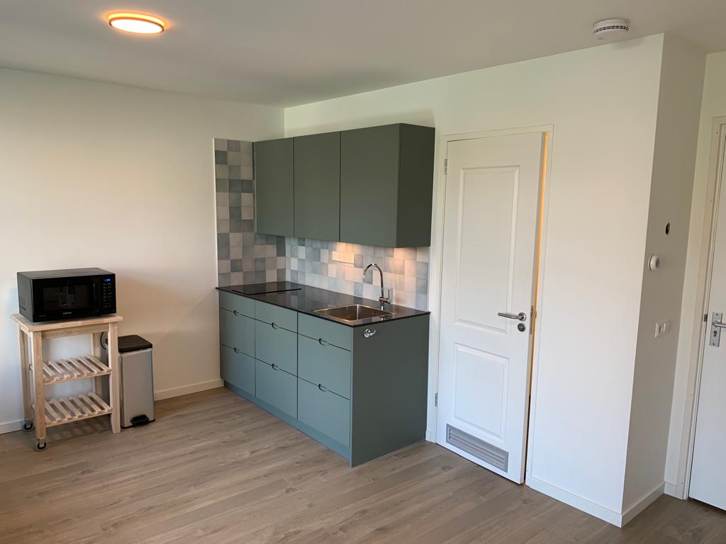 Appartement te huur in Amsterdam – Ruysdaelkade – foto 2