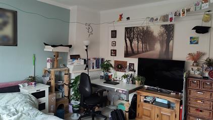 Room for rent 370 euro Tubantiasingel, Enschede