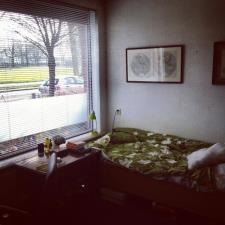 Kamer te huur 535 euro Poeijersstraat, Eindhoven