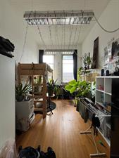 Room for rent 443 euro Dreijenplein, Wageningen