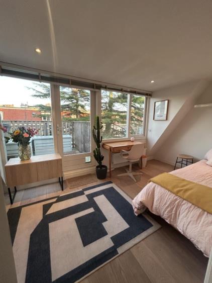 Kamer te huur 1500 euro Transvaalkade, Amsterdam