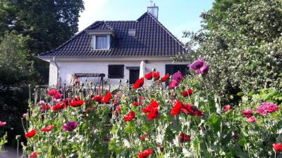 Kamer te huur 375 euro Apollolaan, Enschede