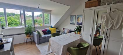 Room for rent 740 euro Hengstdalseweg, Nijmegen