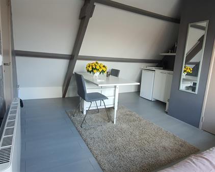 Room for rent 625 euro Prins Hendriklaan, Hoofddorp