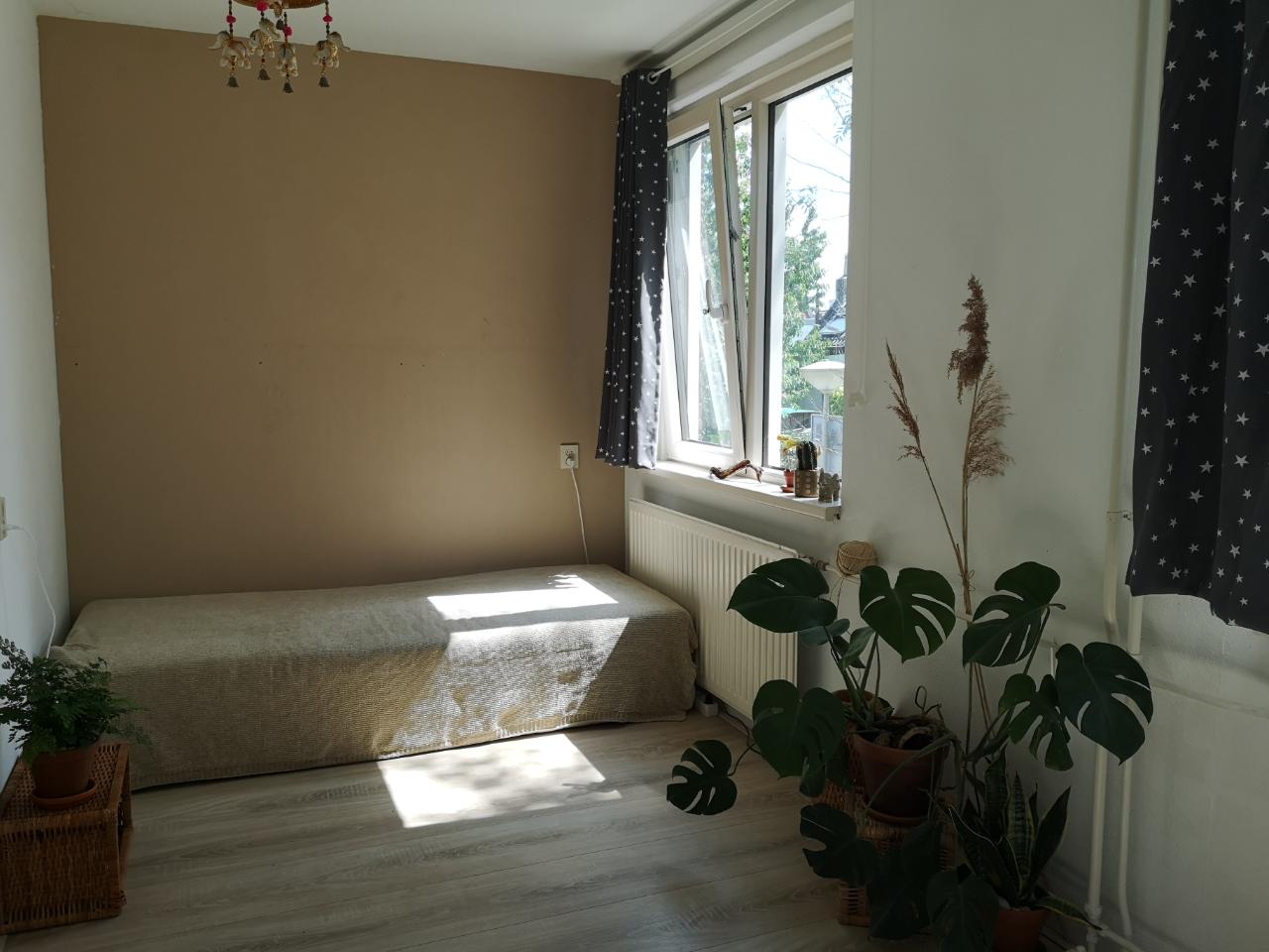 1-রুম studio ও রুম এর 15 m²