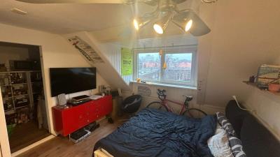 Room for rent 325 euro Nassaulaan, Delft