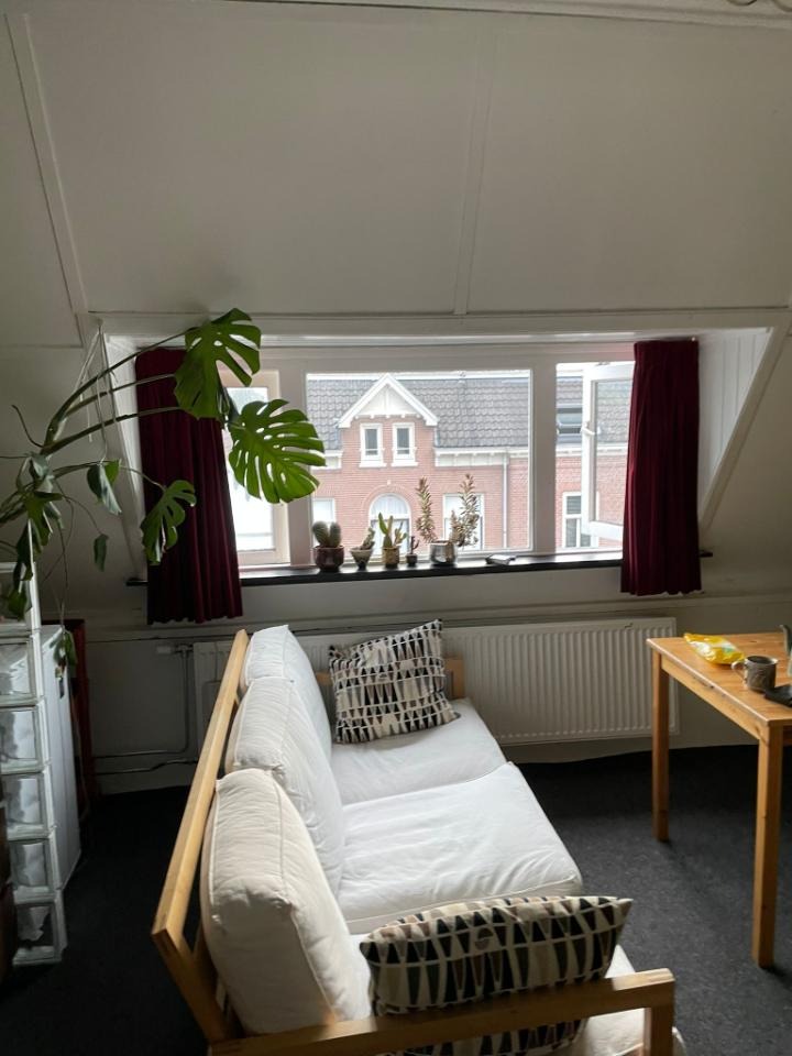 Kamer te huur in de Hoflaan in Arnhem