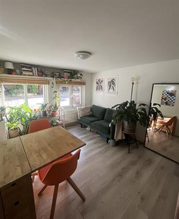 Kamer in Utrecht, Tulpstraat op Kamernet.nl: Te huur: Mooi 2-kamer appartement in het populaire