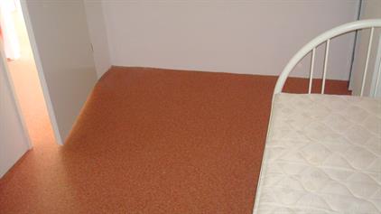 Zimmer zu vermieten 320 Euro Waalstraat, Arnhem