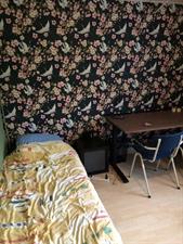 Kamer te huur 425 euro Wethouder Elhorststraat, Enschede