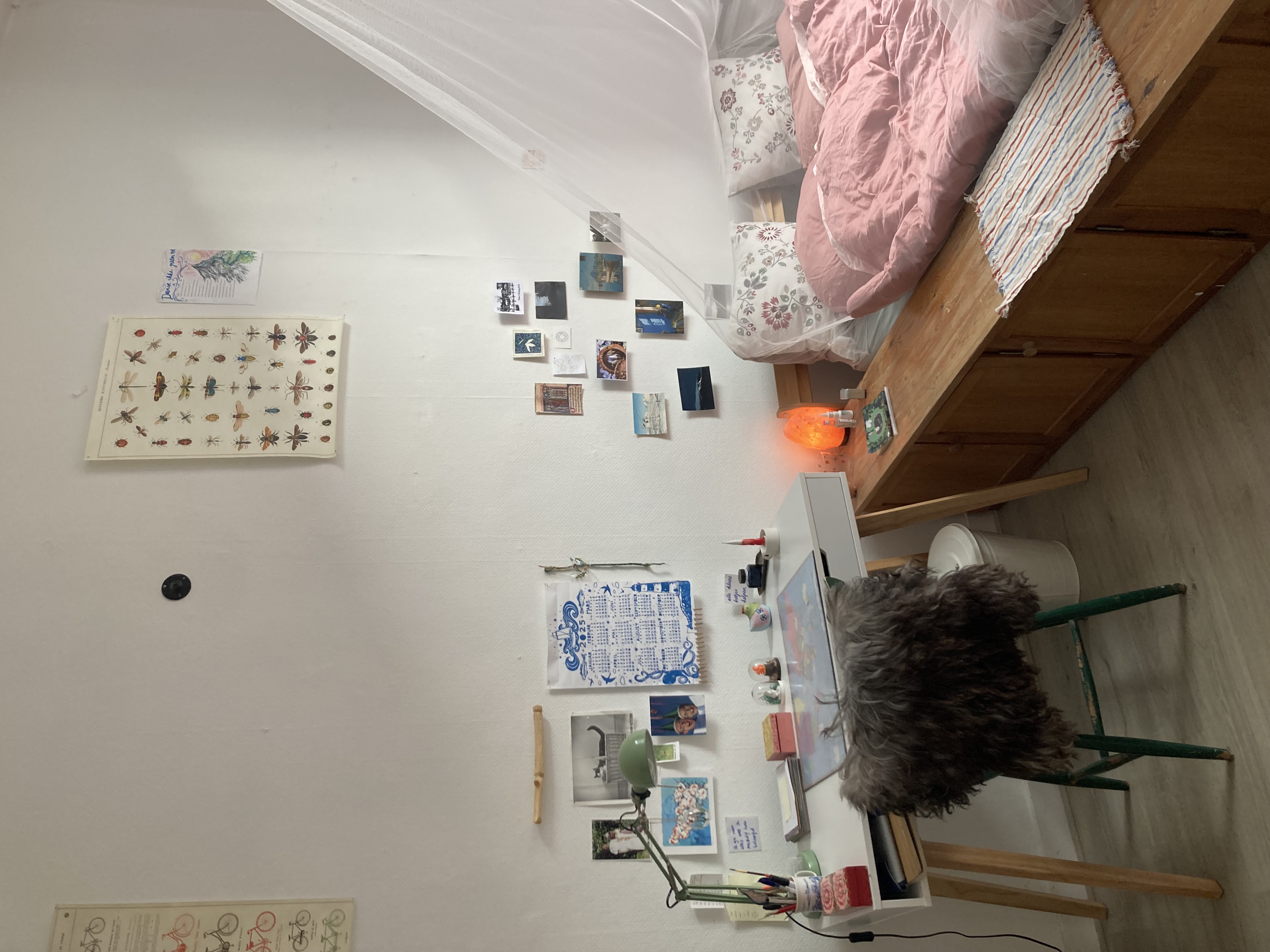Kamer te huur in Den Haag – De Carpentierstraat – foto 4