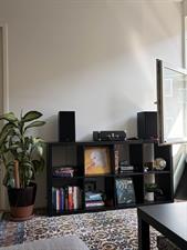 Room for rent 1250 euro Davisstraat, Amsterdam