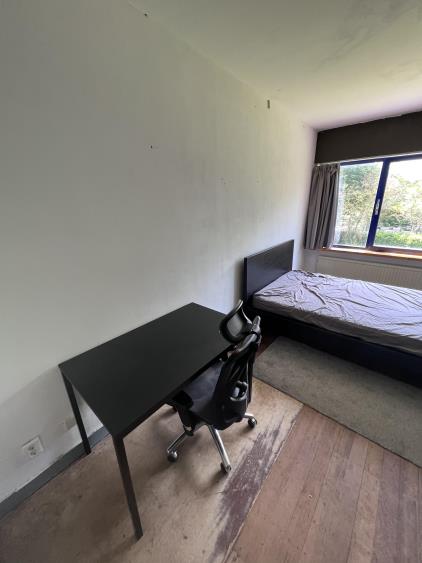 Room for rent 700 euro Ruys de Beerenbrouckstraat, Delft