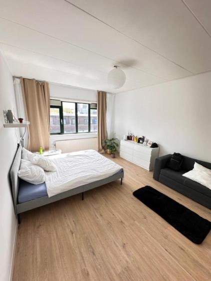 Room for rent 650 euro Walenburgerweg, Rotterdam