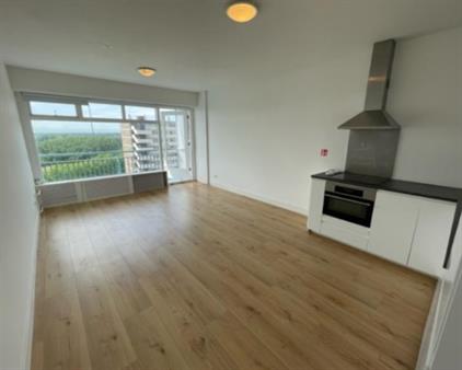 Apartment for rent 2100 euro Burgemeester Hogguerstraat, Amsterdam