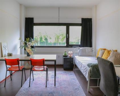 Studio for rent 481 euro Bomansplaats, Eindhoven