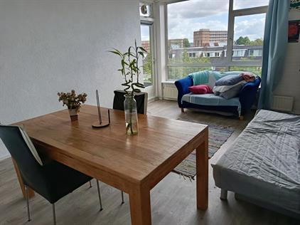 Room for rent 735 euro Vechtplantsoen, Utrecht
